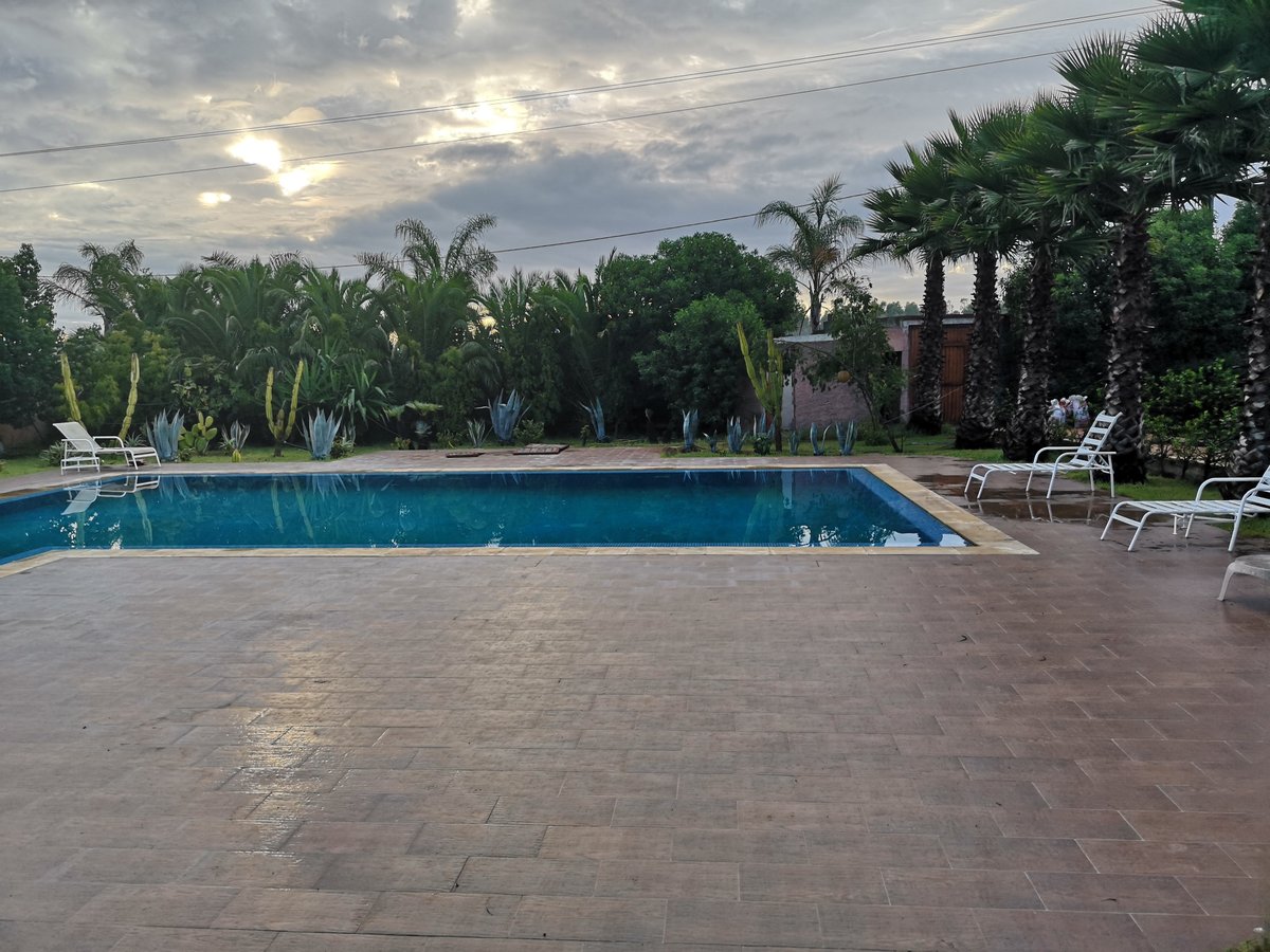 Riad Hamdani Pool Pictures & Reviews - Tripadvisor