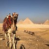 Egypt Tours Planner