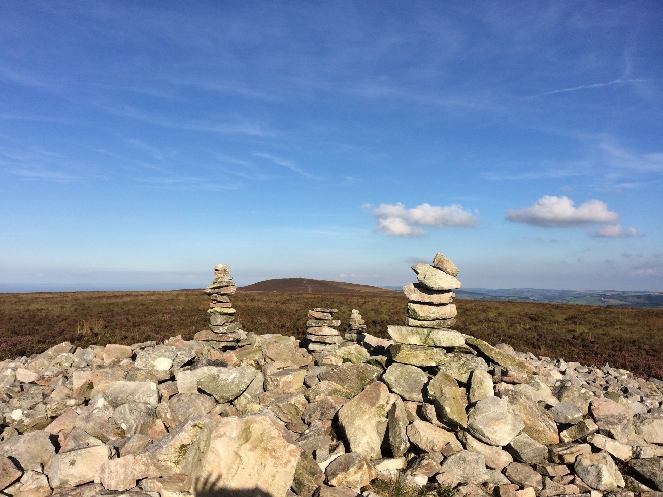 Wild About Exmoor - 엑스퍼드 - Wild About Exmoor의 리뷰 - 트립어드바이저