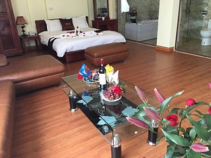 Haap Transit Hotel in Hanoi, image may contain: Couch, Coffee Table, Table, Potted Plant