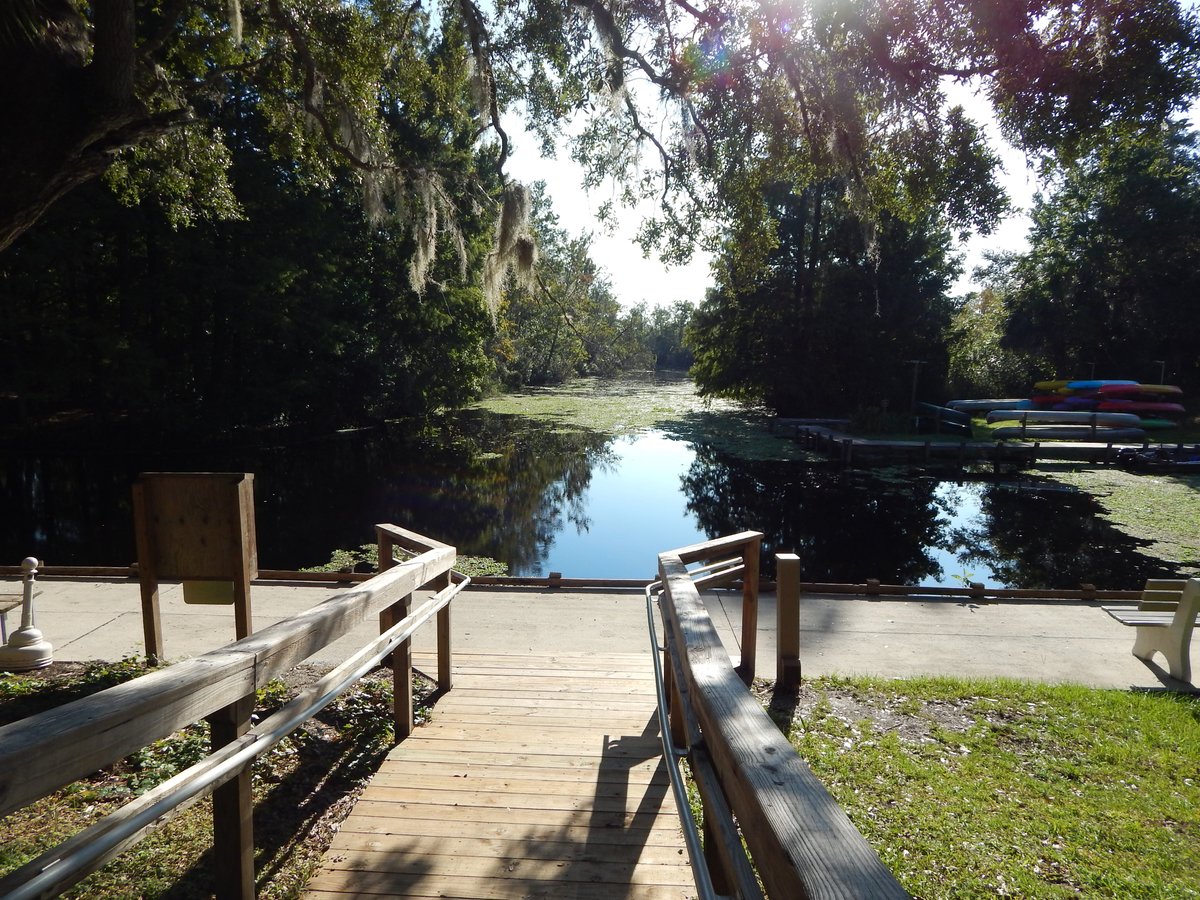 Escape To Paradise: Your Guide To Lake Griffin State Park, Florida