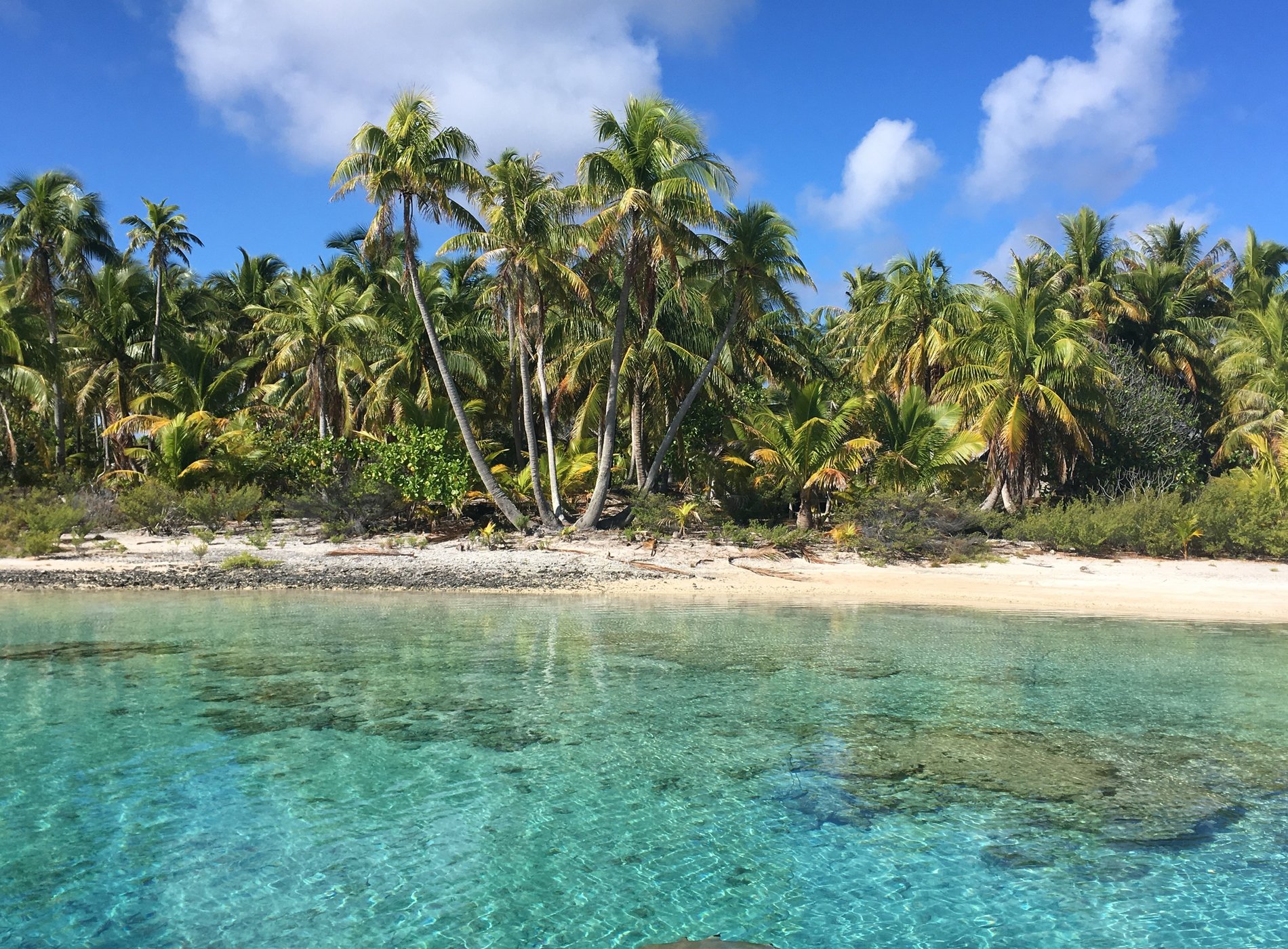 Relais Royale Tikehau by null