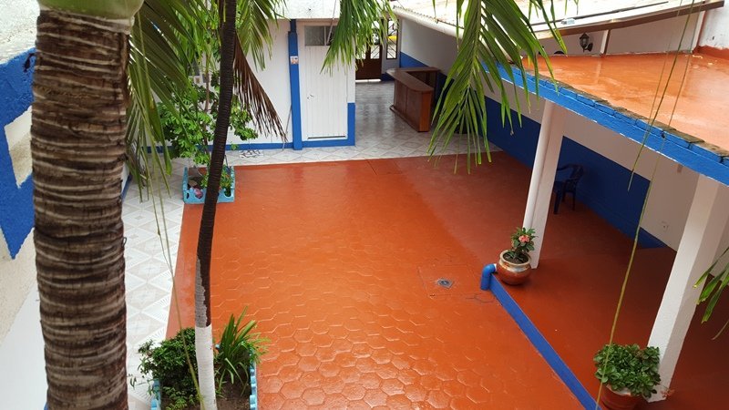 Jardín/ Patio