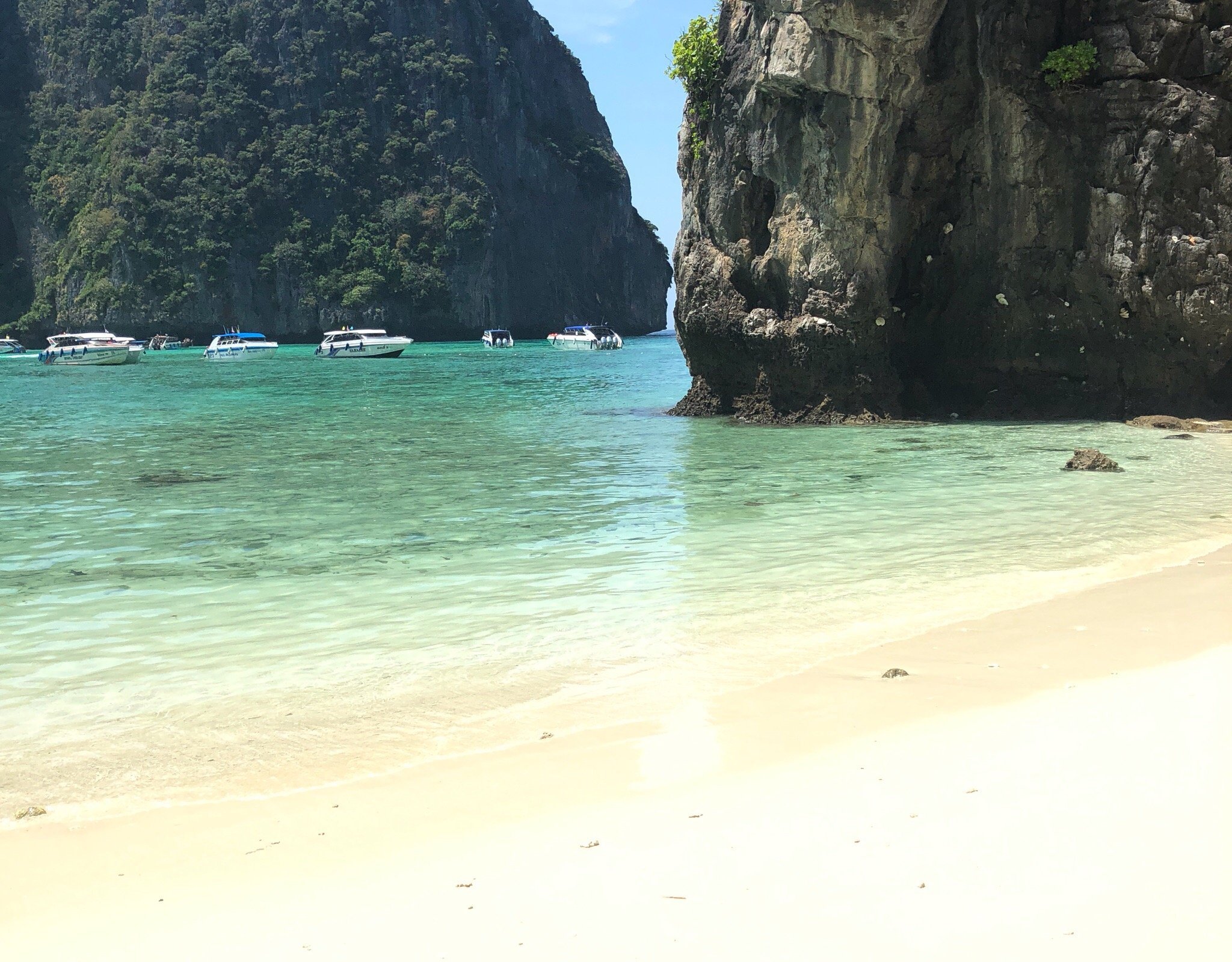 Koh Phi Phi Tour - All You Need to Know BEFORE You Go (2024)