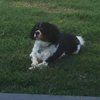 ROCKY083