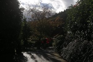 客室 & スイート