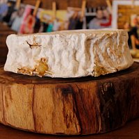 Queijo