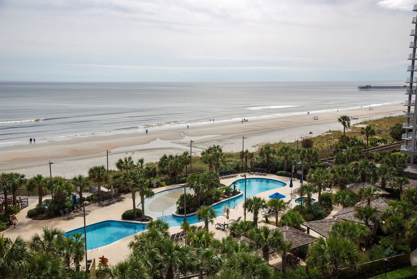 Hilton Myrtle Beach Resort Rooms Pictures And Reviews Tripadvisor 