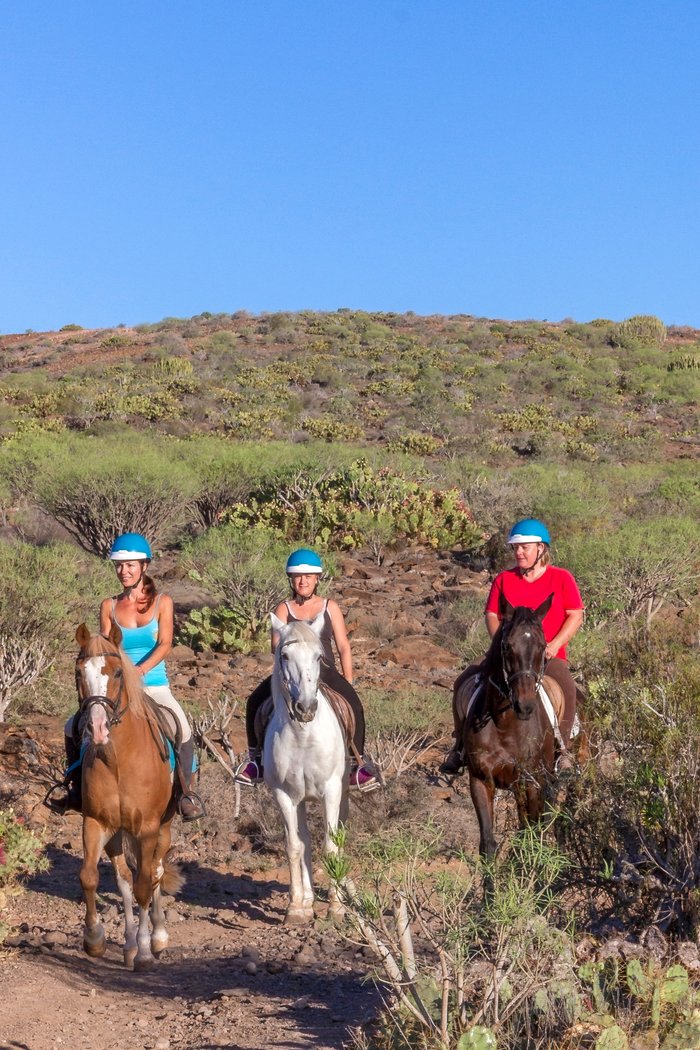 Imagen 5 de Rutas ecuestres El Salobre Horse Riding