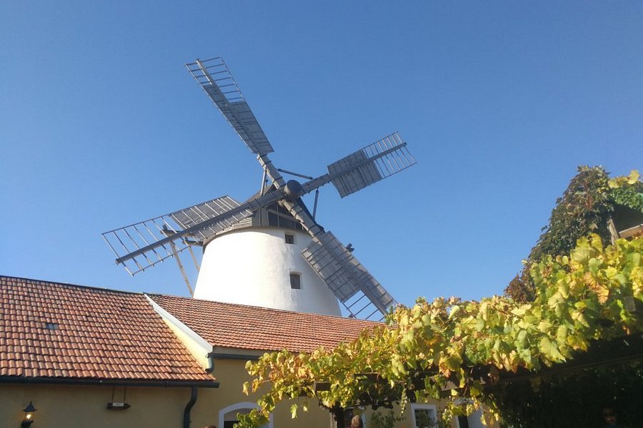 Windmühle Retz image