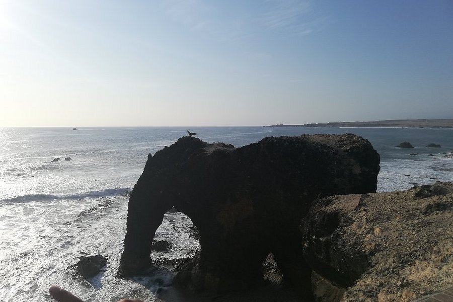 Playa Trompa de Elefante image