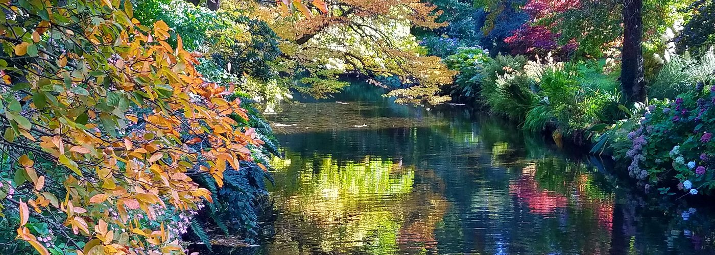 The gardens in October:  Central stream framed by fall colors, green foilage, and a surprising number of blooming flowers.