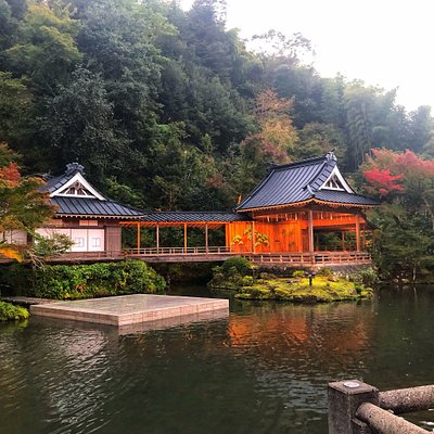 二度と行かないしおすすめもしません 伊豆 修善寺温泉 宙 Sora 渡月荘金龍の口コミ トリップアドバイザー 二度と行かないしおすすめもしません 伊豆 修善寺温泉 宙 Sora 渡月荘金龍の口コミ トリップアドバイザー
