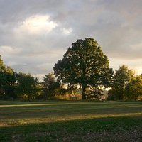 Cheshunt Park, evening scene