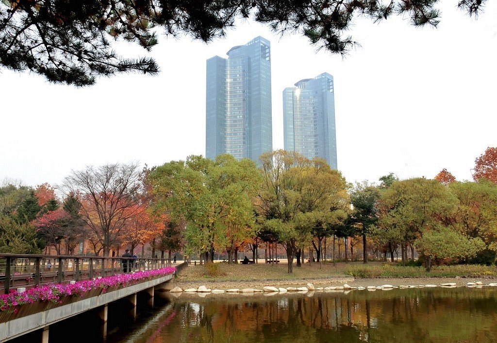 Rừng Seoul (Hàn Quốc) - Đánh giá - Tripadvisor