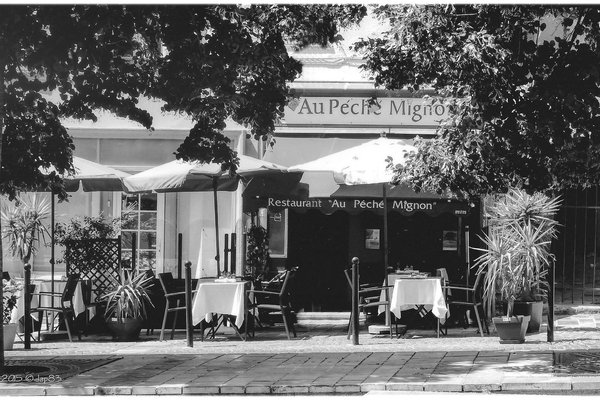 Peches mignon. Ресторан peche. Peche mignon. Peche Cafe