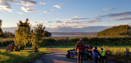 A beautiful orchard in St-Nicolas, Que, overlooking the St. Lawrence! This is a wonderful and magical place to visit with the kids, eat the juiciest and most flavourful apples and pies you've ever tasted! The owners, Lynne and Daniel, are such welcoming and gracious hosts - definitely a jewel in Quebec!
