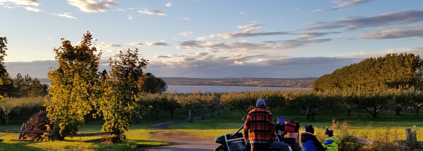 A beautiful orchard in St-Nicolas, Que, overlooking the St. Lawrence! This is a wonderful and magical place to visit with the kids, eat the juiciest and most flavourful apples and pies you've ever tasted! The owners, Lynne and Daniel, are such welcoming and gracious hosts - definitely a jewel in Quebec!
