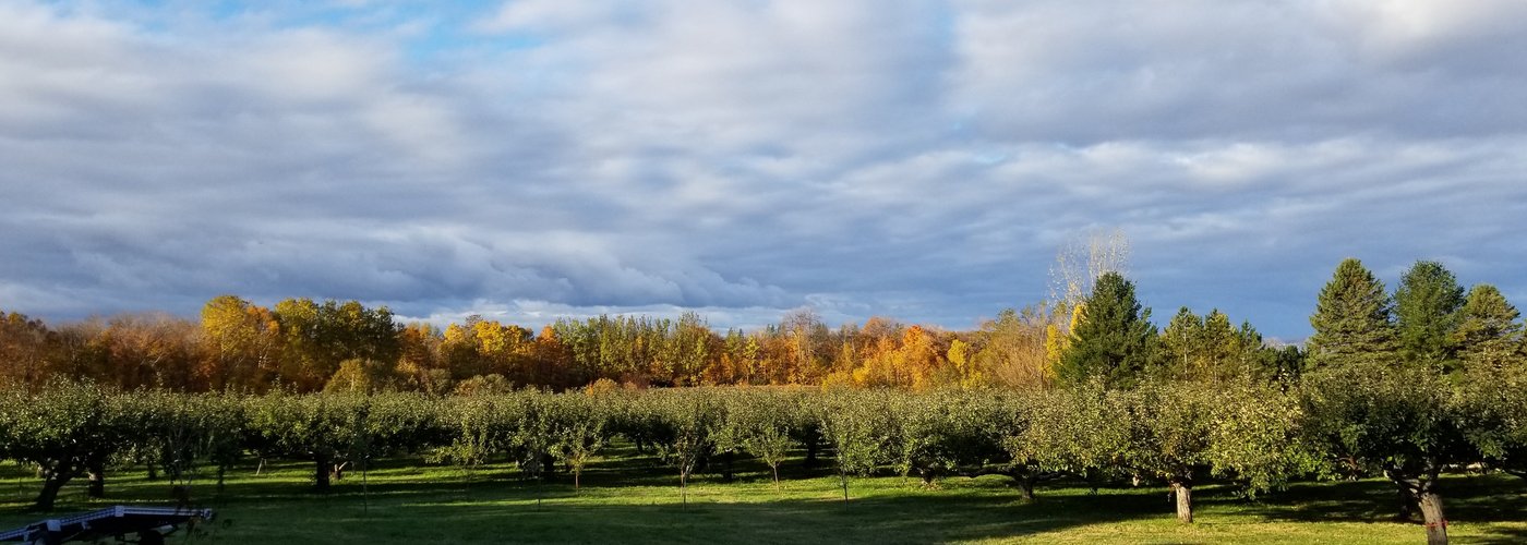 A beautiful orchard in St-Nicolas, Que, overlooking the St. Lawrence! This is a wonderful and magical place to visit with the kids, eat the juiciest and most flavourful apples and pies you've ever tasted! The owners, Lynne and Daniel, are such welcoming and gracious hosts - definitely a jewel in Quebec!