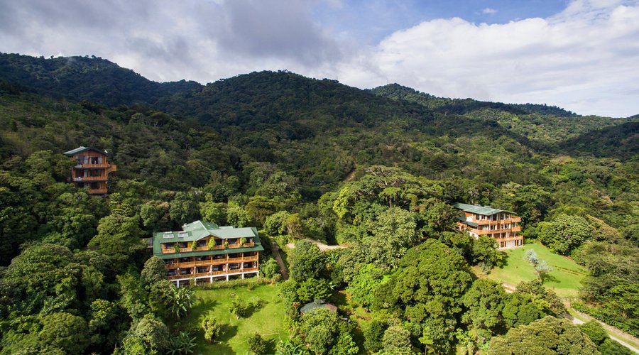 Our property is surrounded by pristine cloud forest 