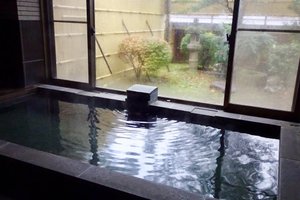 旅行者の写真