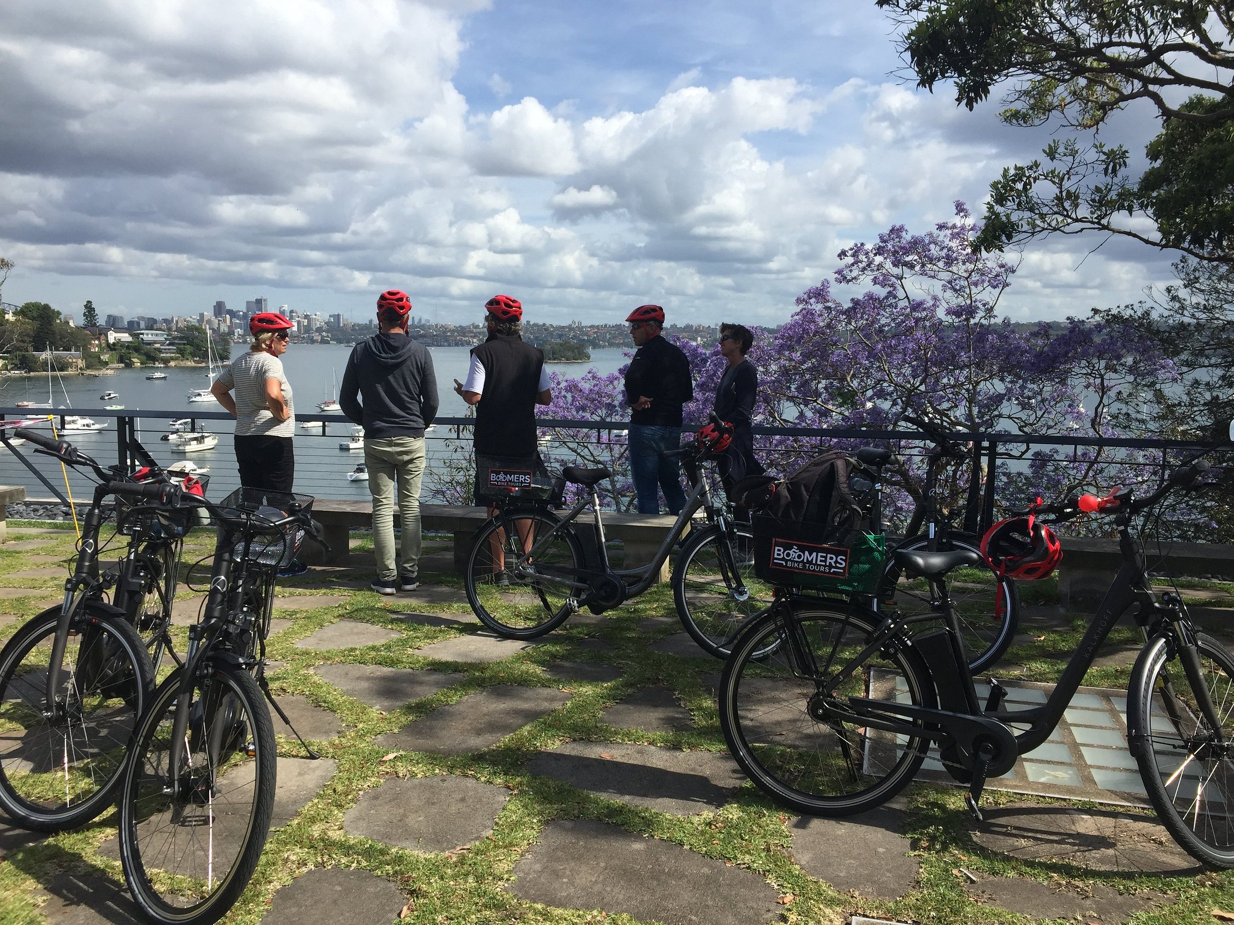 sydney bike tours