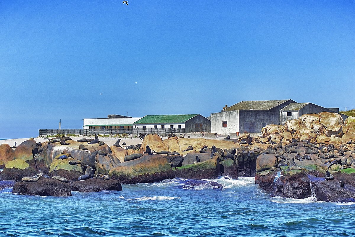 Isla de Lobos (Punta del Este) - All You Need to Know BEFORE You Go