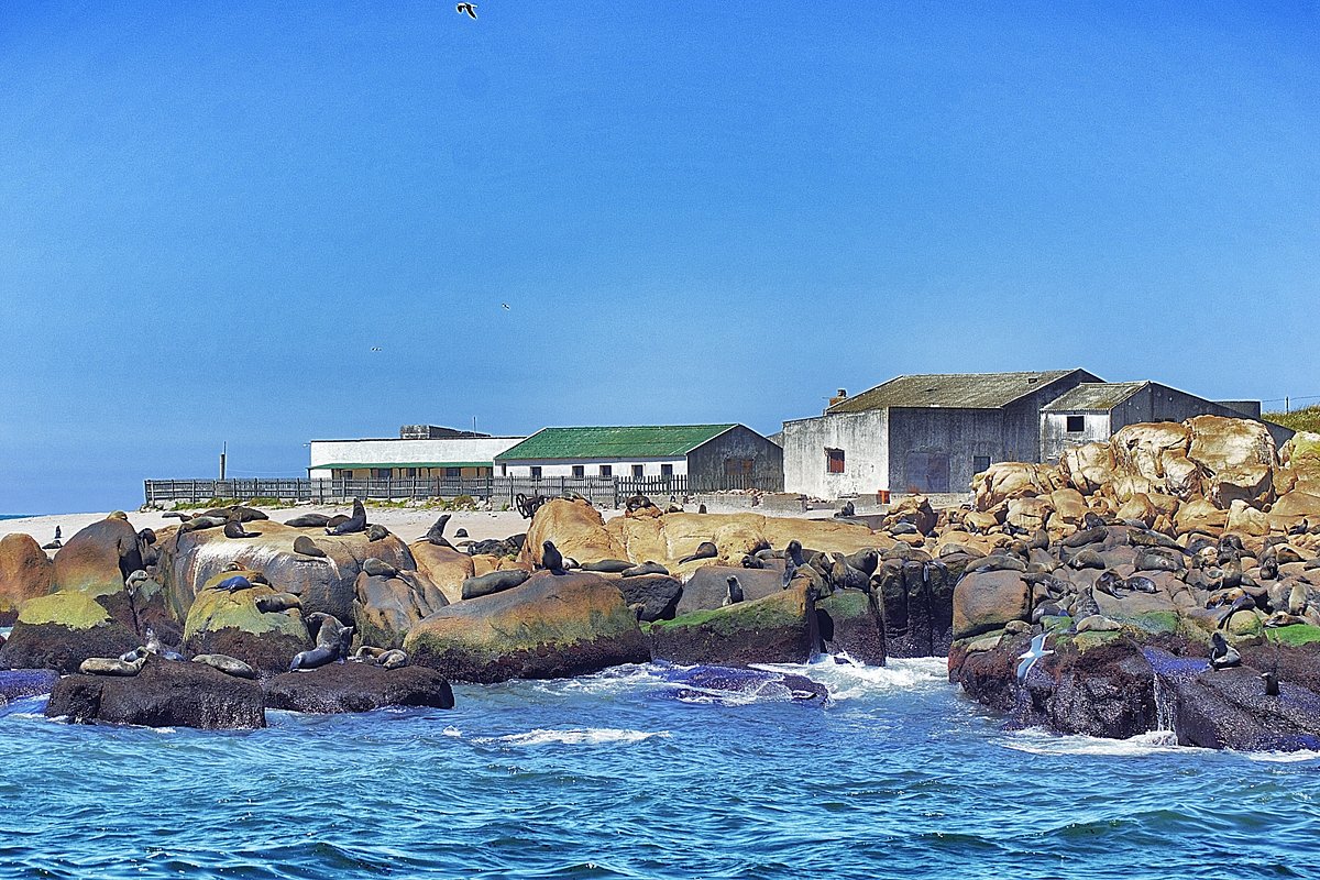 Isla De Lobos (Punta Del Este) - 2023 Alles Wat U Moet Weten Voordat Je Gaat - Tripadvisor