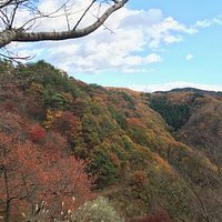 山々も紅葉しています。