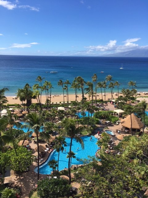 THE WESTIN MAUI RESORT SPA KA ANAPALI 2024 Prices Reviews Lahaina   The Westin Maui Resort 