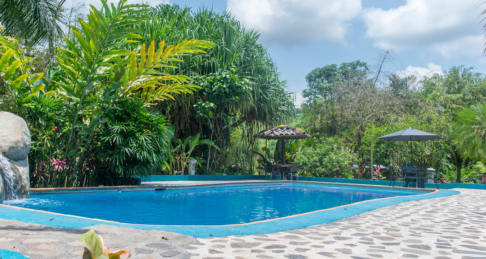 Hotel Kokoro Arenal Pool: Pictures & Reviews - Tripadvisor