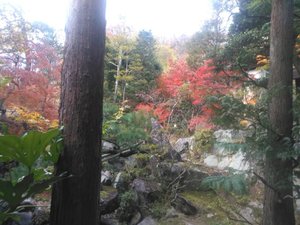旅行者の写真