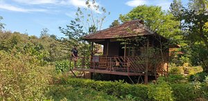 Jungle Retreat Wayanad in Thirunelly
