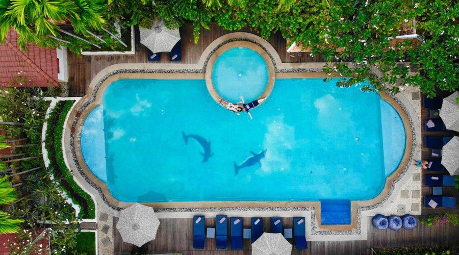 Hotel's Stunning Tropical Swimming Pool 
