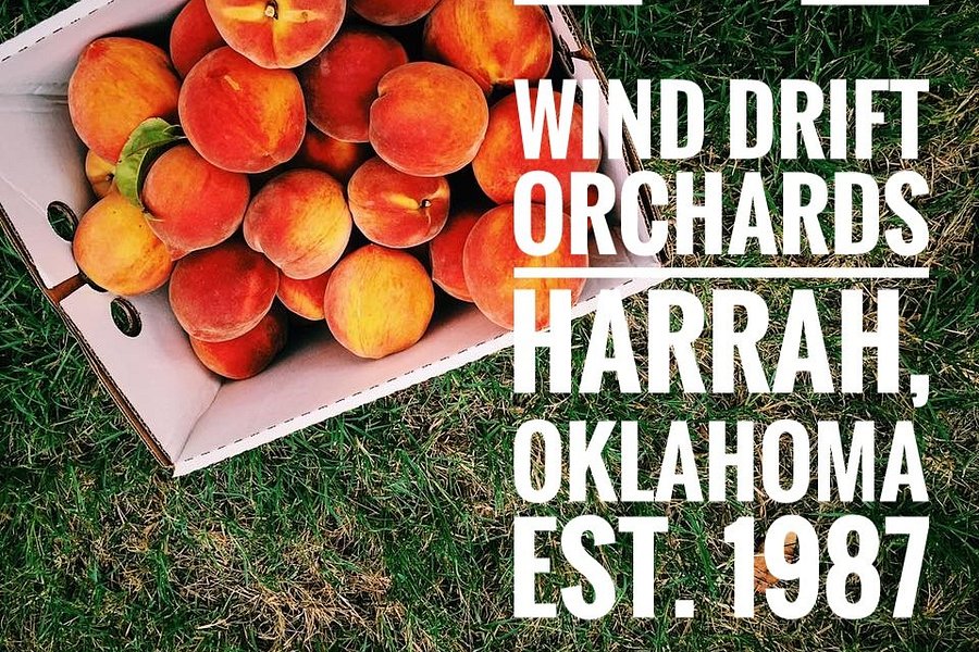 Wind Drift Orchards image