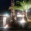 socratesVenezia