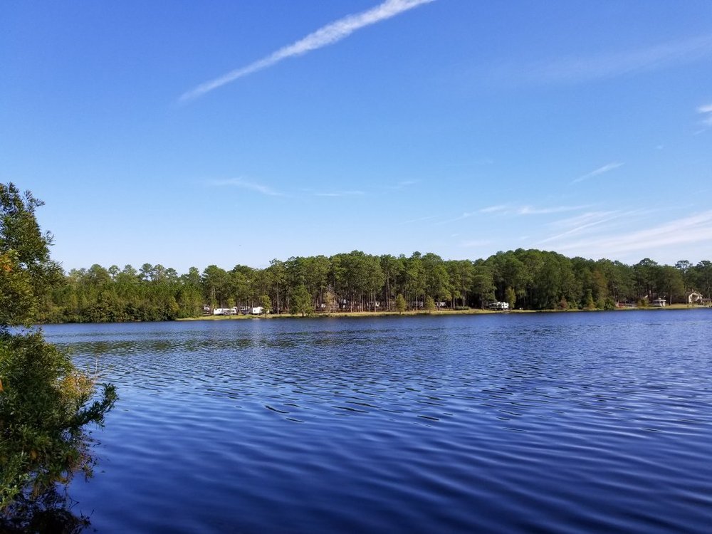 THE 10 BEST Georgia State Parks (2024) - Tripadvisor