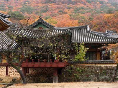 22年韩国顺天市的旅游景点 旅游指南 行程 Tripadvisor