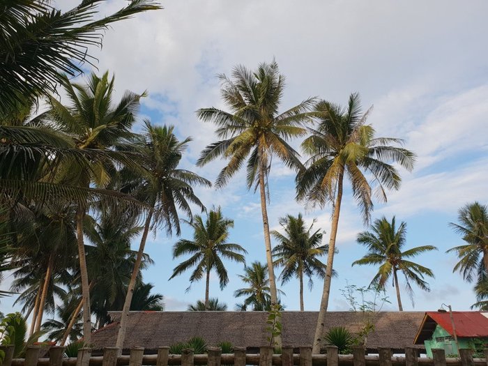 RIZAL BEACH RESORT (Gubat, Filippijnen) - foto's en reviews - Tripadvisor