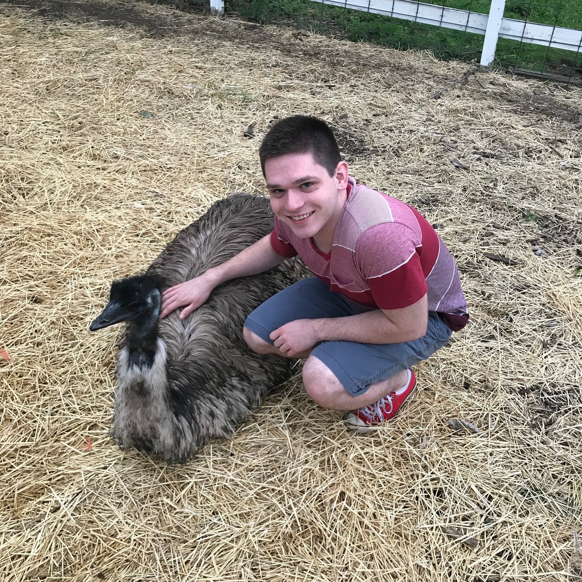 PINEHAVEN FARMS (2025) All You Need to Know BEFORE You Go (with Photos)