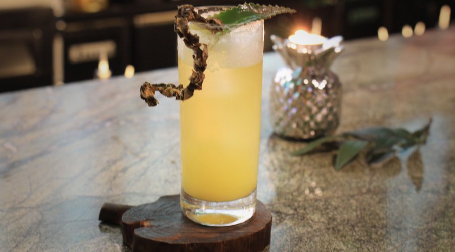 Snake's back with their's house made ginger beer
