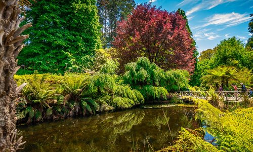 The gorgeous lake at the National Rhododendron Gardens