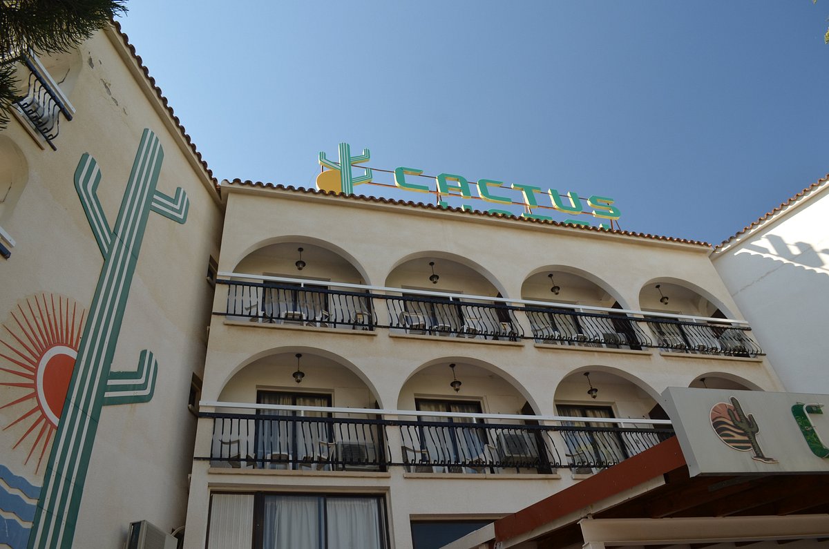 Cactus hotel отзывы