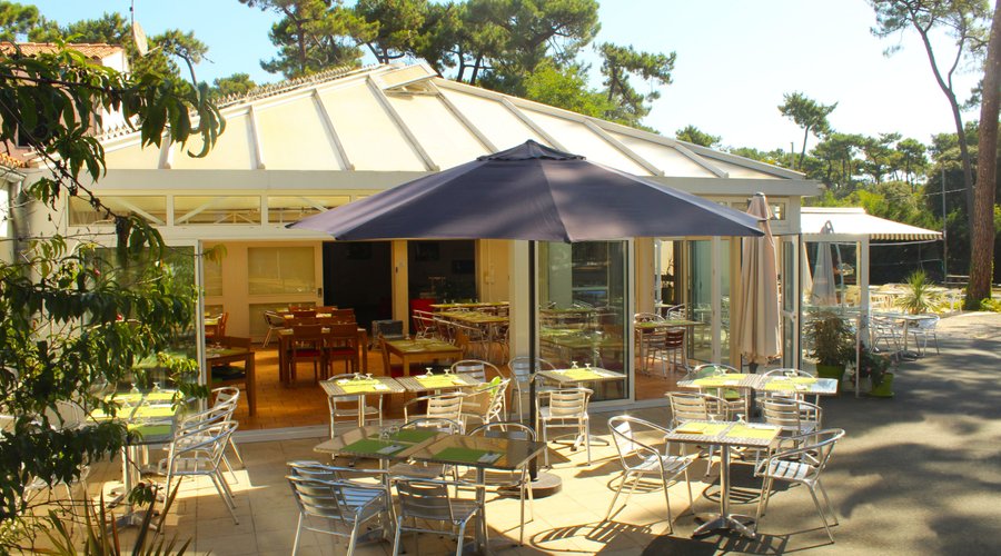 Terrasses sous les pins