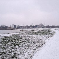 Cannizaro Park