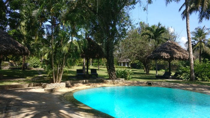 Diani Marine Divers Village Pool: Pictures & Reviews - Tripadvisor