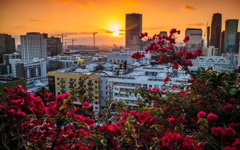 One of the prettiest rooftop sunsets I've seen at the Ace Hotel in Downtown LA.  Definitely recommend a visit for a sunset bevvy.   Where's your favorite rooftop bar sunset?  #sunset #rooftopbars