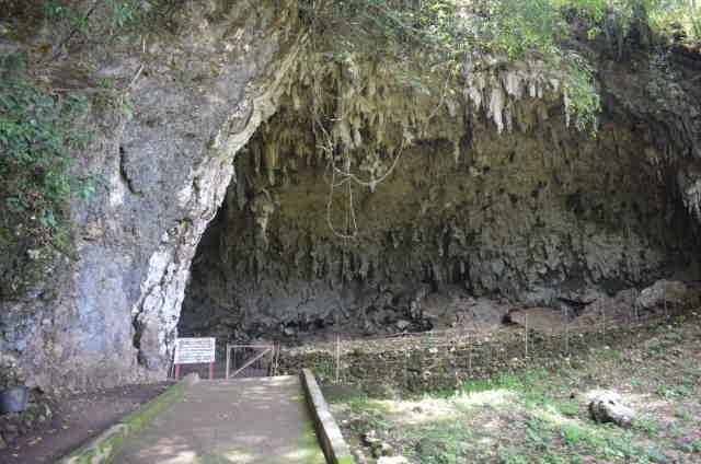 Liang Bua Cave (flores): All You Need To Know Before You Go