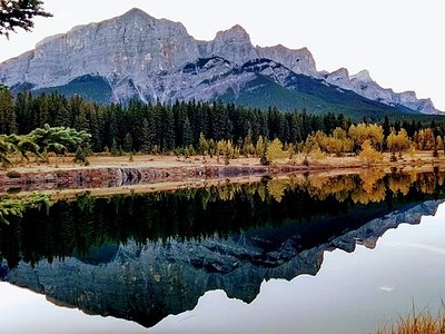 Spray lakes lake trout - Picture of Canadian Artisans B&B, Canmore -  Tripadvisor