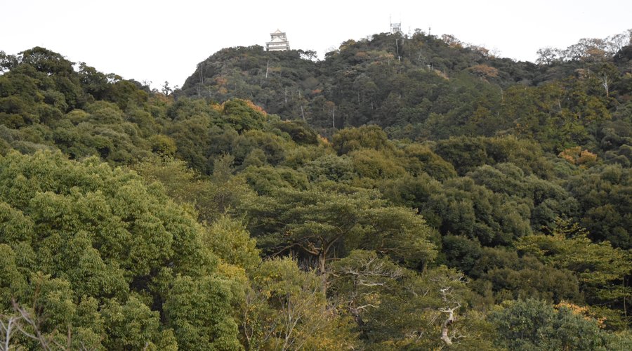 金華山